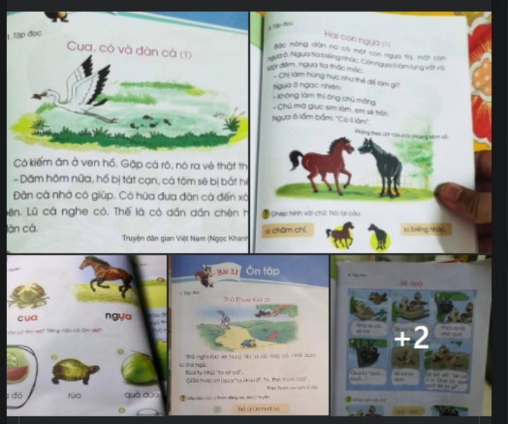 Chuyên gia: Tiếng Việt 1 có lỗi sai cơ bản, không thể chỉnh sửa mà nên thu hồi - 2