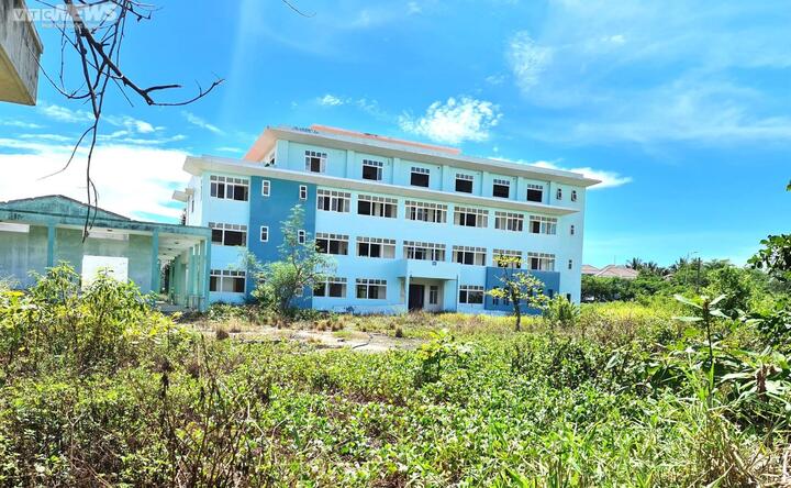 Nhiều đất công ở Đà Nẵng bị lấn chiếm trái phép - 1