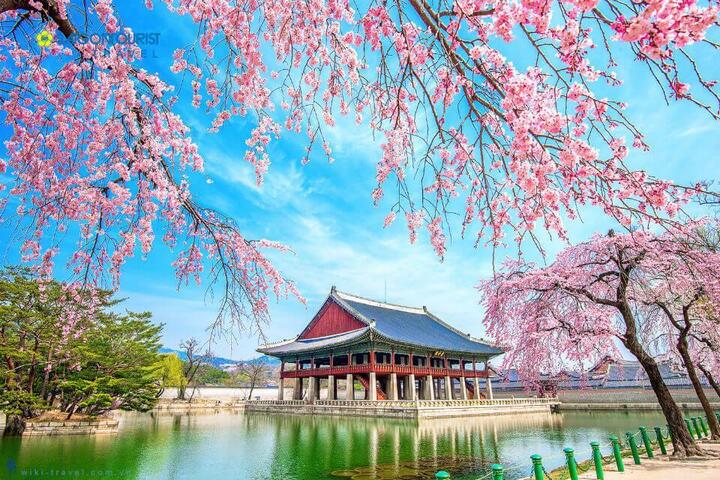 Không chỉ hấp dẫn du khách thập phương bởi khung cảnh thiên nhiên tươi đẹp, Hàn Quốc còn cuốn hút tín đồ du lịch bởi nền văn hóa vô cùng đặc sắc.